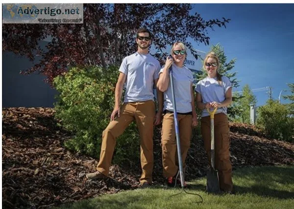 Lawn services, snow removal