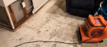 Mold Testing in Great Neck