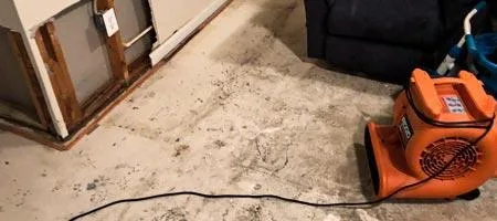 Mold Testing in Great Neck