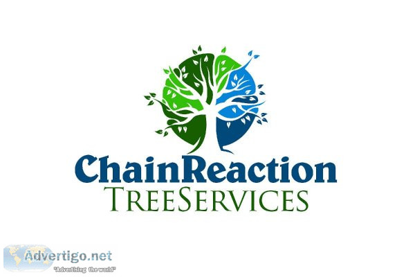 15% DISCOUNT TREE SERVICES