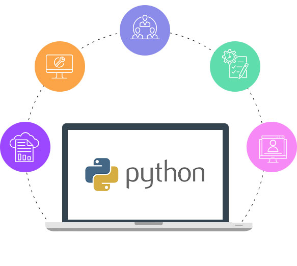 Python development company in delhi india