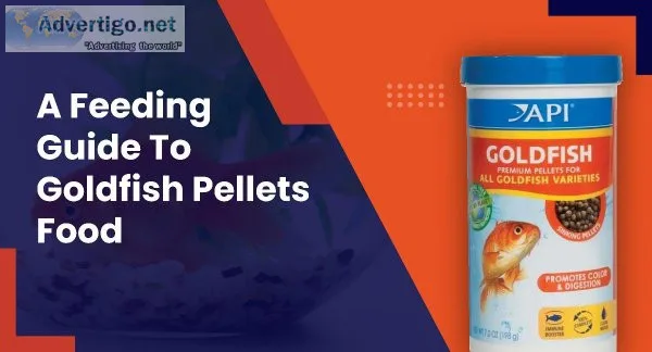 What Is The Best Type Of Fish Food