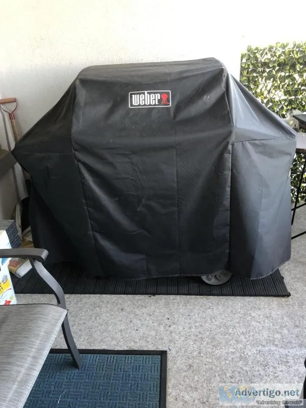 WEBER BBQ