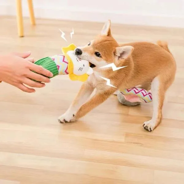 Durable And Best Quality Dog Chewy Toys At Pets Villa