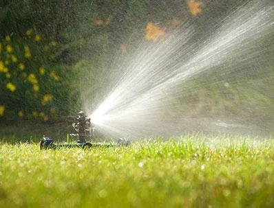 Best Landscaping installation Services Los Angeles CA