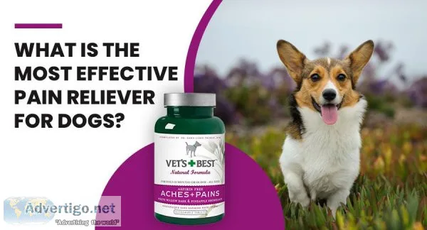 How to confirm if the dog is experiencing pain