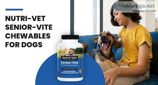 Do Dogs Require Multivitamins