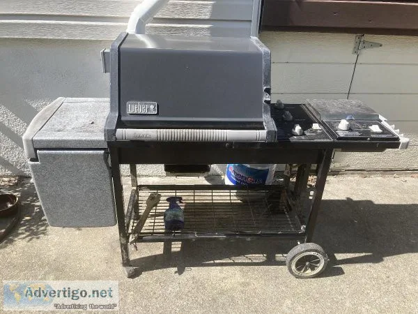 Weber Grill and Accessories