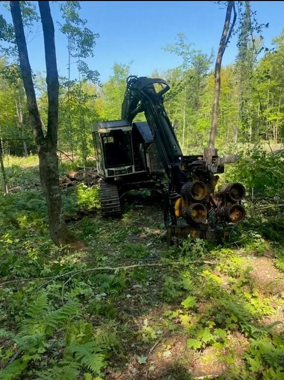 1997 Timbco 415 Feller Buncher For Sale In Mass City Michigan 49