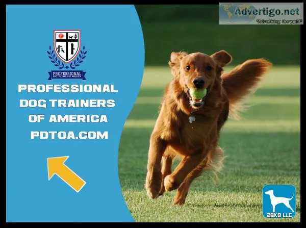 Professional Dog Trainers of America