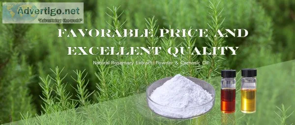 Bitter almond extract vitamin vb17 amygdalin 98%, rosemary extra