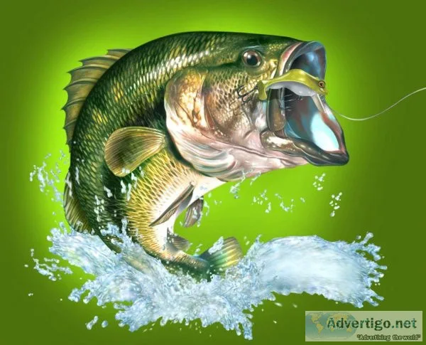 If you fish - this is for you 