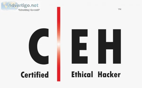 Ethical Hacking Tinstitute in Chennai