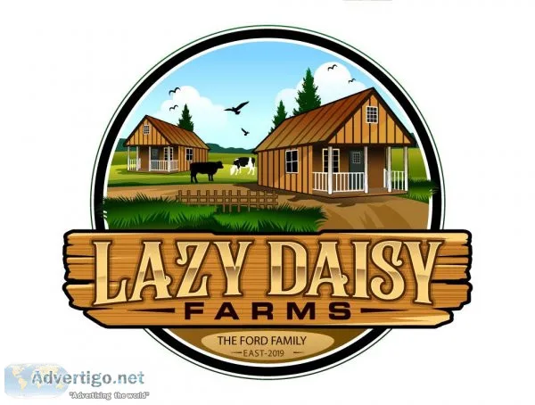 Do you need Website and Logo Design