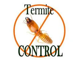 Termite control service in hyderabad