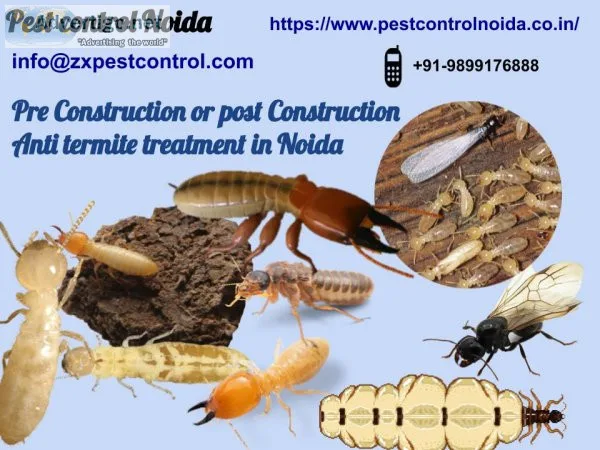 Pre construction and post construction anti termite treatment in