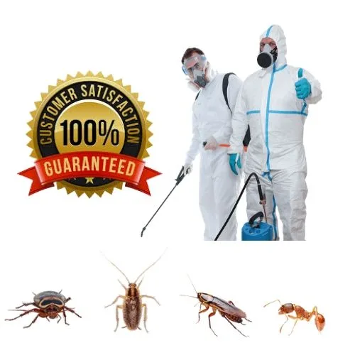 Pest Control Services in Hyderabad