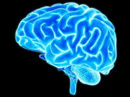 Gain endurance, stamina and mental acuity