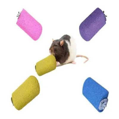 What Do Chinchillas Like To Play With