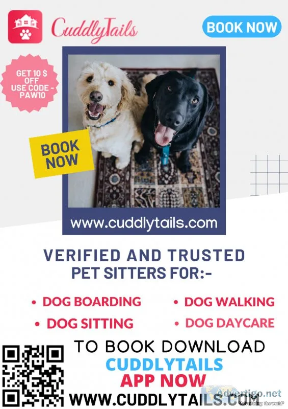 The Biggest Dog Boarding and Daycare Cape Coral FL  Cuddlytails.
