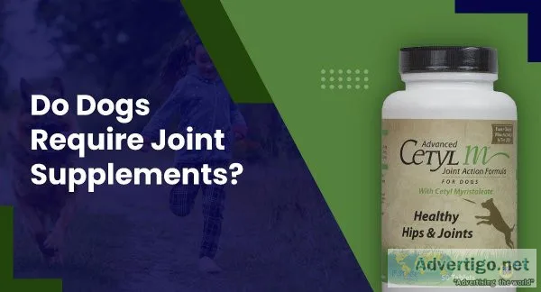 Do dogs require joint supplements