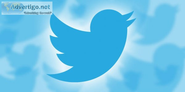 Can you use twitter to grow your business