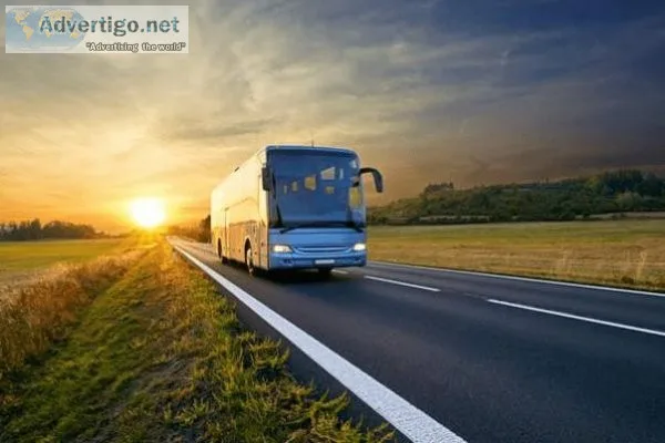 Travel Bus Rental in Usa  Busmiami.net