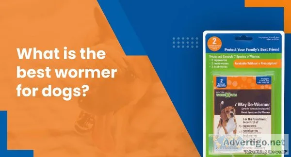 What Is The Best Wormer For Dogs
