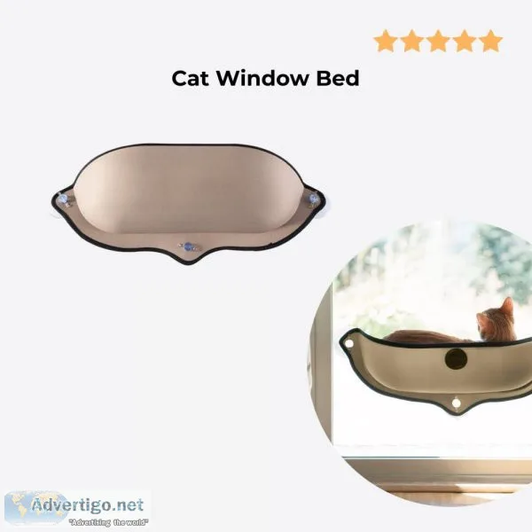 cat window bed