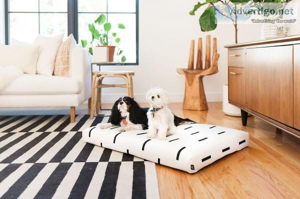 Best Designer Dog Beds in Australia