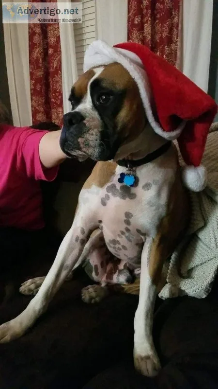 Free boxers