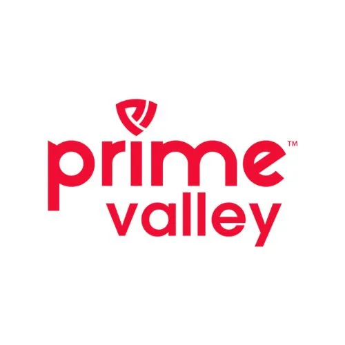 Prime valley | digital marketing compan