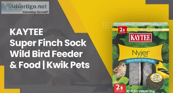 Do Finch Sock Feeders Work For Wild Birds