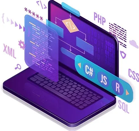 Custom software development