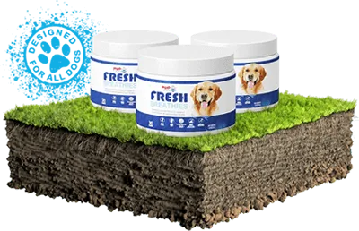 Stinky dog breath Do THIS now