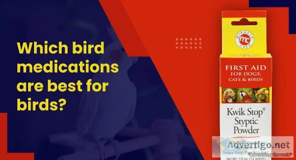 Which Bird Medications Are Best For Birds