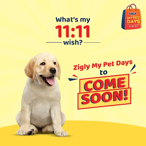 ZIGLY MY PET DAYS ARE BACK