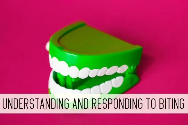 Online Childcare Class  Understanding and Responding to Biting