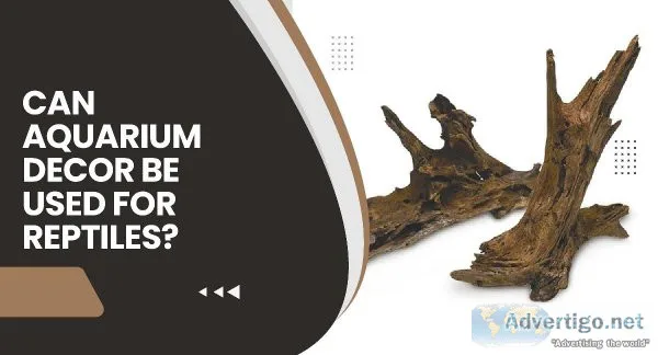 Can Aquarium Decor Be Used For Reptiles