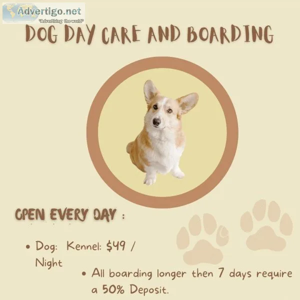 Dog Daycare and Boarding services in Tacoma