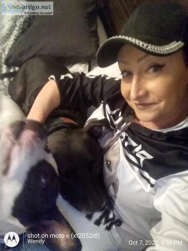 Housekeeping in exchange for room and board pet friendly