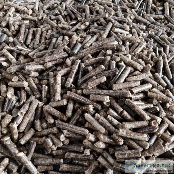 Wood Pellet for sale