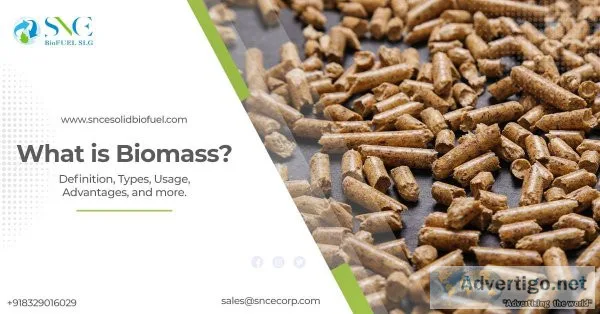 What is the definition of biomass