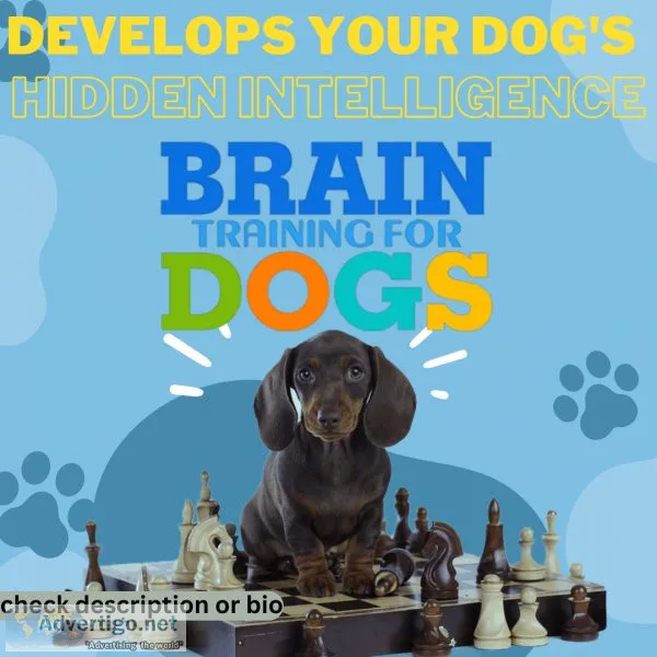 High Quality Dog Training Course at good cost