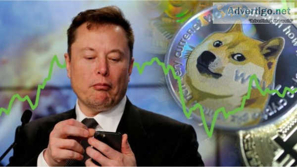 Shiba inu coin price prediction 2025 | check price 2030 in inr