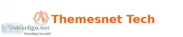 IT Product Manager