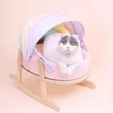 Explore Wide Variety Of Dog Beds In All Sizes  Pets Villa