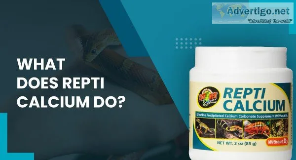 What Does Repti Calcium Do
