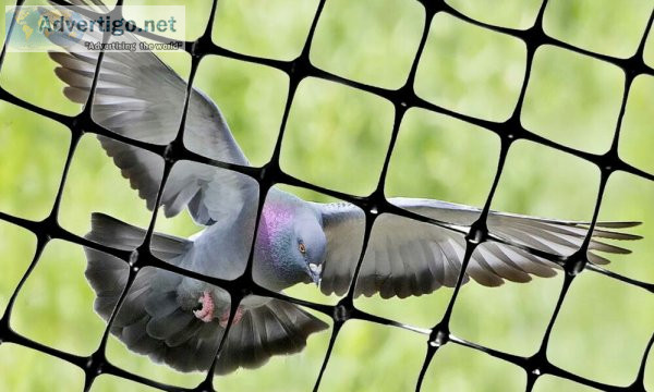 Av global bird netting