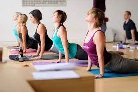 Yoga teacher training in india